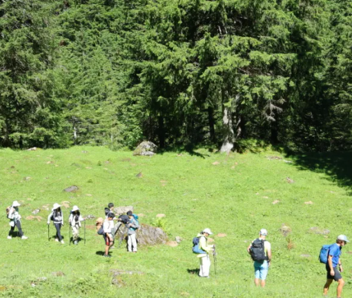 诺达传统之瑞士徒步，孩子们的意志力已经到 - Swiss Hiking